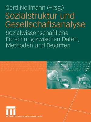 cover image of Sozialstruktur und Gesellschaftsanalyse